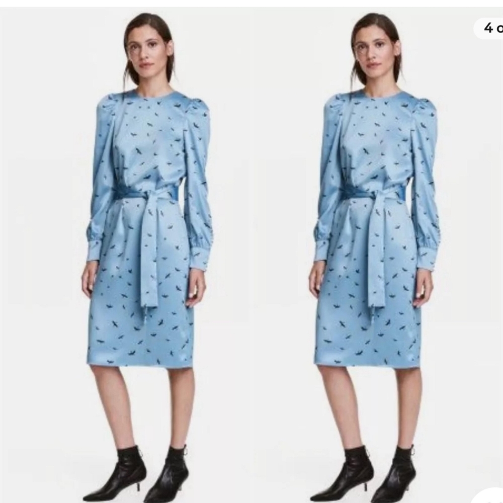 H&M vintage dress